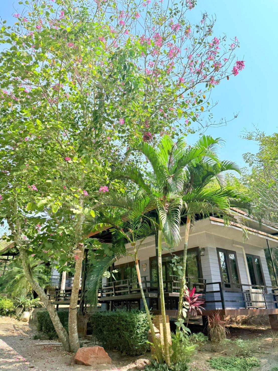 Baan Suan Hill Resort Ban Tha Khun Dış mekan fotoğraf